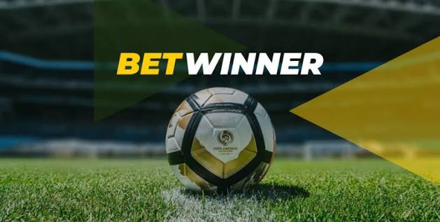 Explore the Features and Benefits of BetWinner Platform